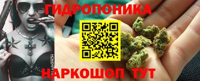кокс Кунгур