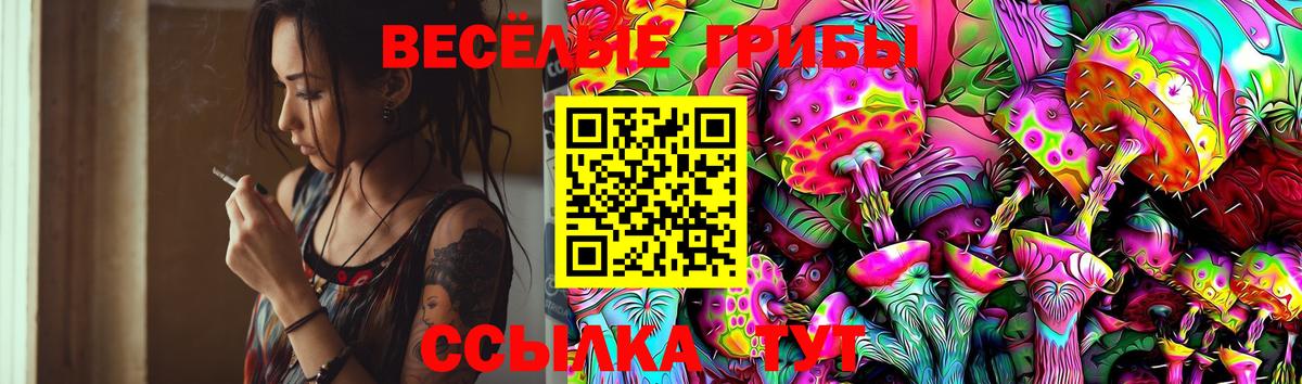 Галлюциногенные грибы мицелий  Камень-на-Оби  Псилоцибиновые грибы мицелий 