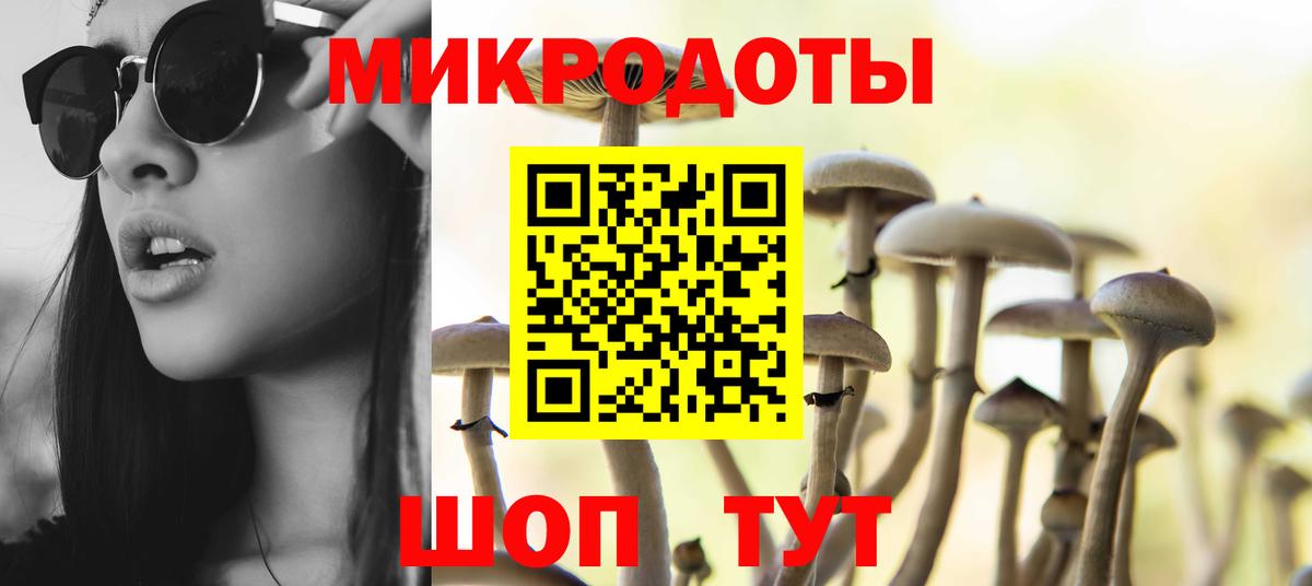 Псилоцибиновые грибы MAGIC MUSHROOMS Камень-на-Оби